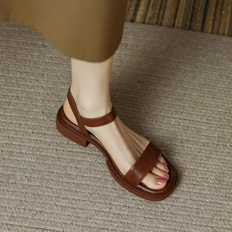 Brown / EU 39
