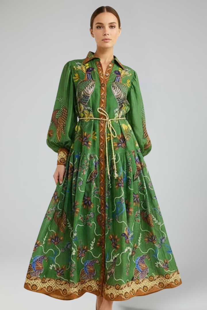 Women's Printed Long-Sleeve V-Neck Maxi Dress